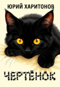 Обложка книги "Чертёнок"
