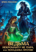 Обложка книги "Ведьма некроманту не пара, или Попаданка против!"
