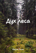 Обложка книги "Дух леса"