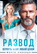 Обложка книги "Развод. Вернуть жену любой ценой"