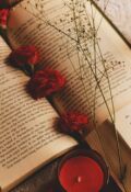 Обложка книги "Сборник стихотворений"