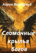 Обложка книги "Сломанные крылья богов"