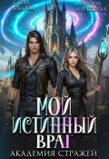Обложка книги "Мой истинный враг. Академия Стражей. Часть вторая"