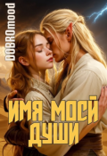 Обложка книги "Имя моей души"