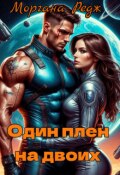Обложка книги "Один плен на двоих"