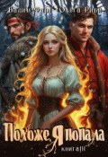 Обложка книги "Похоже, я попала 3"