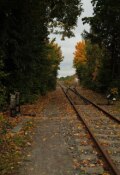 Обложка книги "Иван Ильич"