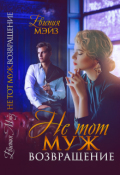 Обложка книги "Не тот муж. Возвращение"