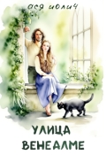 Обложка книги "Улица Венеалме"
