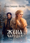 Обложка книги "Жена чародея. Град Серебряный"