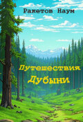 Обложка книги "Путешествия Дубыни"