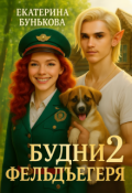 Обложка книги "Будни фельдъегеря 2. В активном поиске"