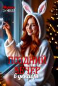 Обложка книги "Поздний вечер в декабре"