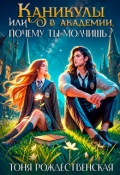 Обложка книги "Каникулы в Академии, или Почему ты молчишь?"