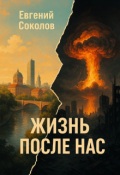 Обложка книги "Жизнь после нас"