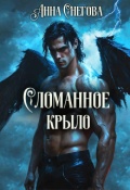 Обложка книги "Сломанное крыло"