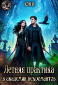 Обложка книги "Летняя практика в академии некромантов"