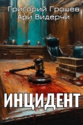 Обложка книги "Инцидент"