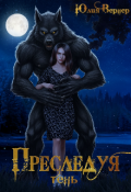 Обложка книги "Преследуя тень "
