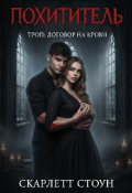 Обложка книги "Похититель.Договор на крови "