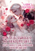 Обложка книги "Как избавиться от некроманта. Попаданка против новой жизни"