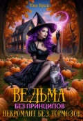 Обложка книги "Ведьма без принципов, некромант без тормозов."