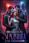 Обложка книги "Фальшивая землянка для принцев"