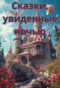 Обложка книги "Сказки, увиденные ночью"