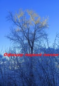 Обложка книги "Офицер первой линии"