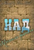 Обложка книги "Над Пустыми вратами"