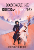 Обложка книги "Восхождение волхва-Горностая"