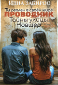 Обложка книги "Проводник"
