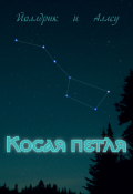Обложка книги "Косая петля"