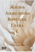 Обложка книги "Жизнь Анжелины Виргдин. Глава 1."