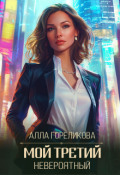 Обложка книги "Мой третий, невероятный"