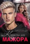 Обложка книги "Конфетка для мажора"