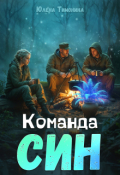Обложка книги "Команда Син"