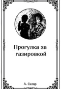 Обложка книги "Прогулка за газировкой"