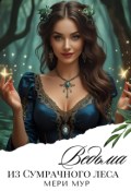 Обложка книги "Ведьма из сумрачного леса."