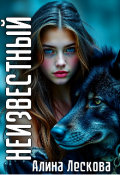 Обложка книги "Неизвестный"