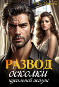 Обложка книги "Развод. Осколки идеальной жизни"