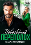 Обложка книги "Новогодний переполох на серебряную свадьбу"