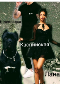 Обложка книги "Шоколадка"