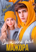Обложка книги "Снежинка для мажора"