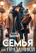 Обложка книги "Семья на праздники "