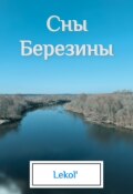Обложка книги "Сны Березины"