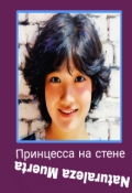 Обложка книги "Принцесса на стене"