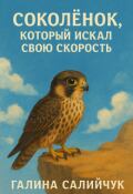 Обложка книги "Соколёнок, который искал свою скорость"