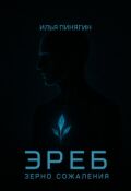 Обложка книги "Эреб. Зерно сожаления"