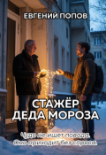Обложка книги "Стажёр Деда Мороза"